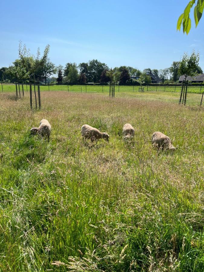 Gastenverblijf Weijdeblik Sinderen Exteriör bild